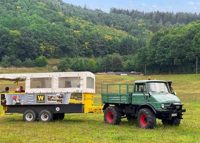 キャンプ場 Lovely Stacaravan In